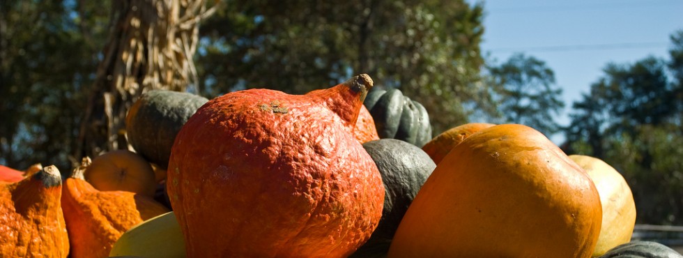 Squashes